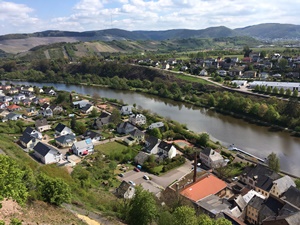 Mosel